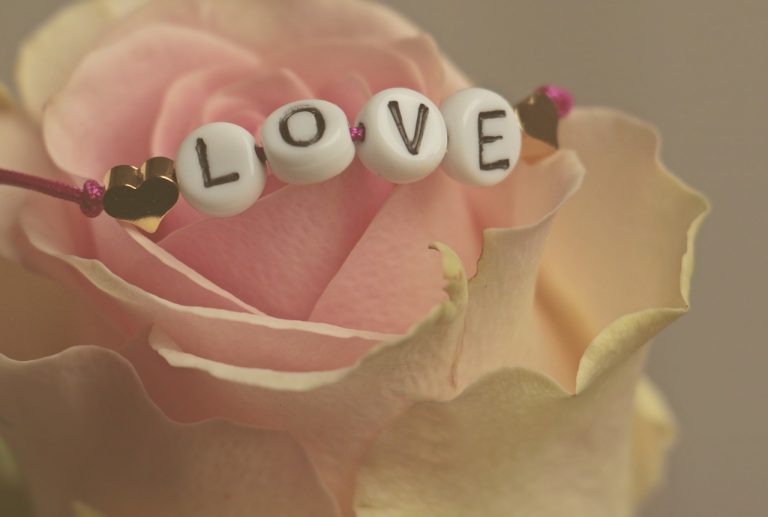 love, rose, flower-3388626.jpg